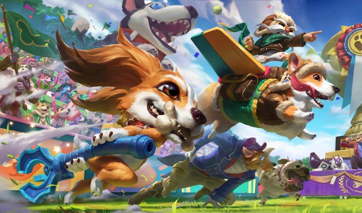 Corki corgi